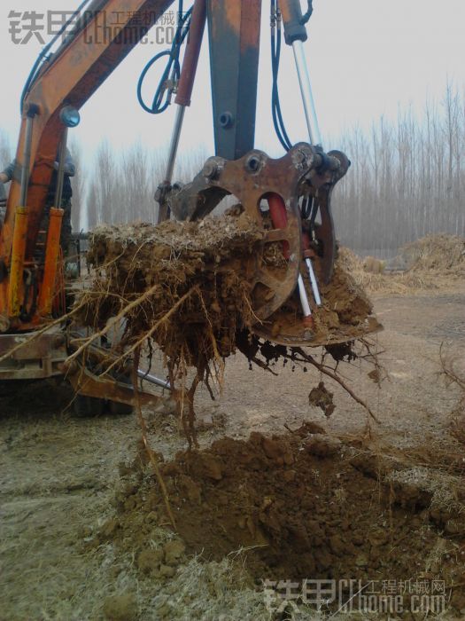 马师傅的树根挖掘器 真正的挖树根神器